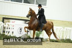 24BUCK_07198 proof