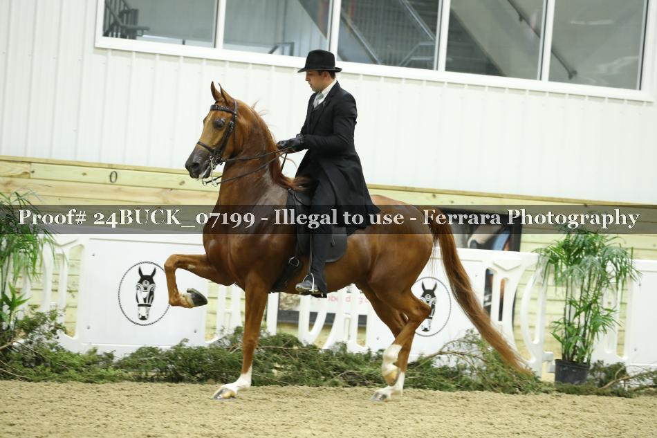 Proof 24BUCK_07199