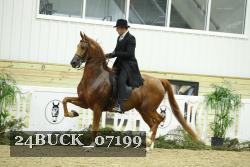 24BUCK_07199 proof