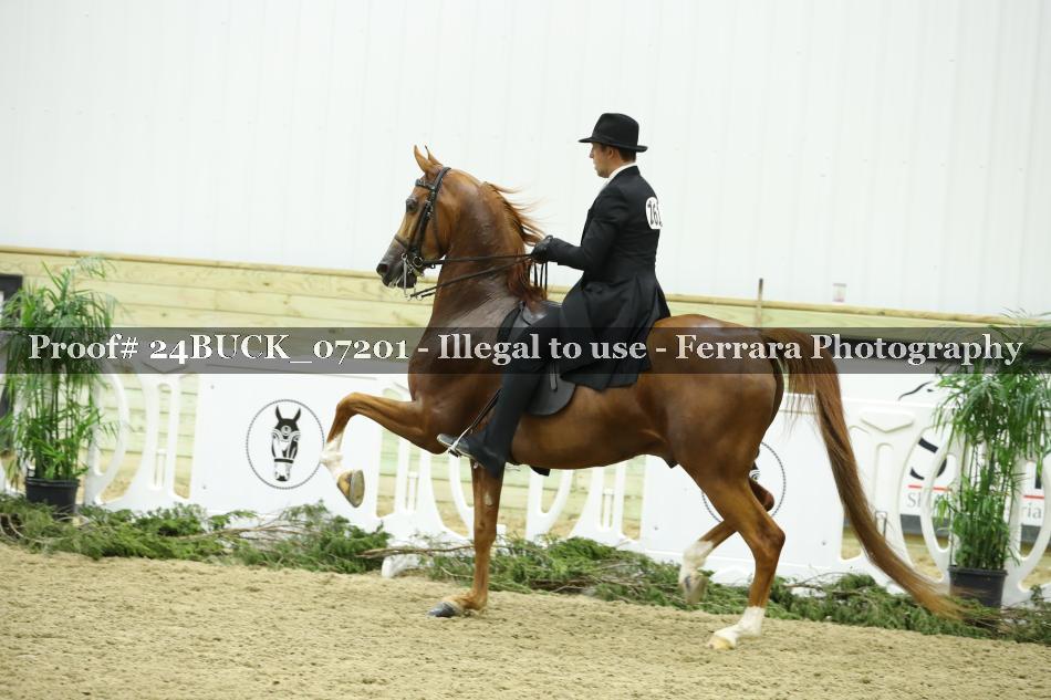 Proof 24BUCK_07201