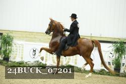 24BUCK_07201 proof