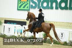24BUCK_07202 proof