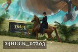 24BUCK_07203 proof