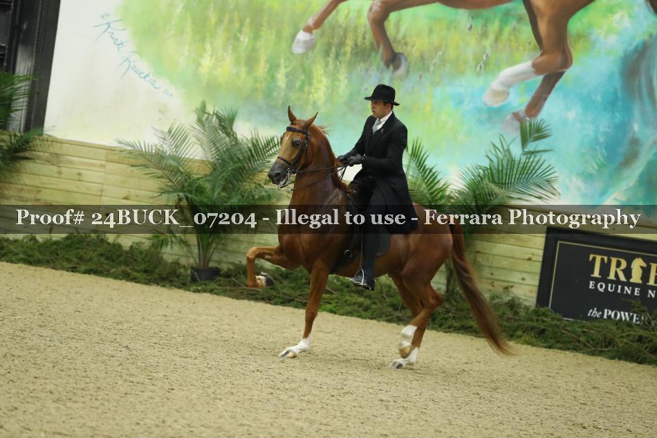 Proof 24BUCK_07204