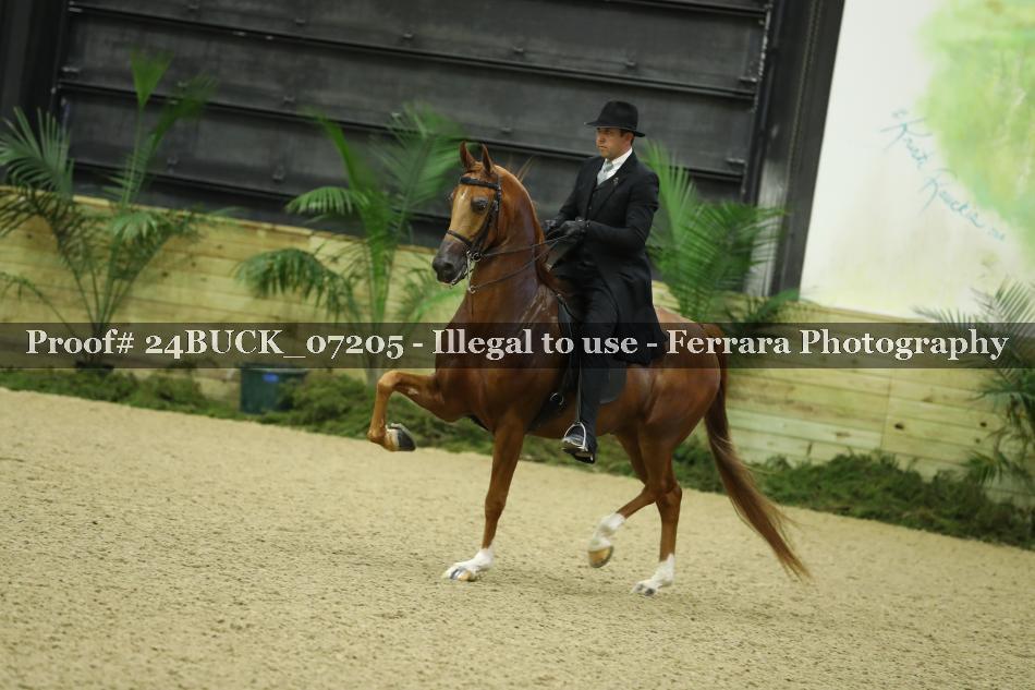 Proof 24BUCK_07205
