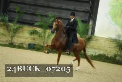 24BUCK_07205 proof
