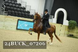 24BUCK_07206 proof