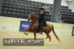24BUCK_07207 proof