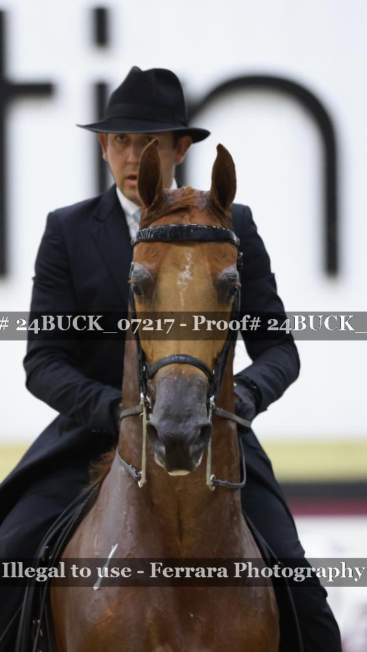 Proof 24BUCK_07217