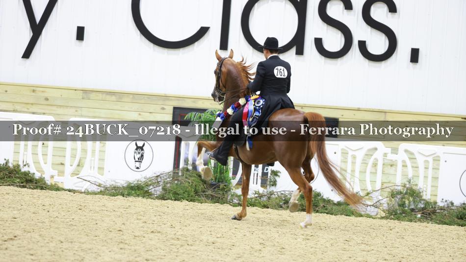 Proof 24BUCK_07218