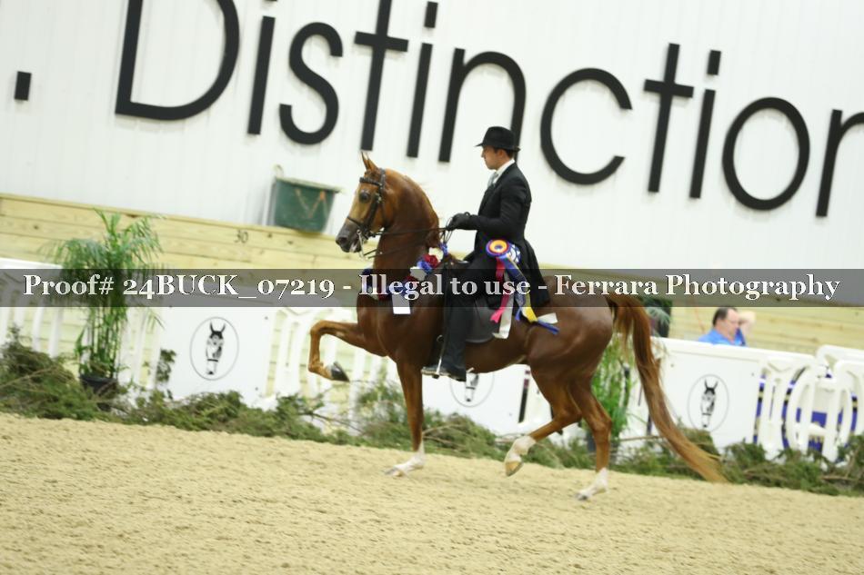 Proof 24BUCK_07219