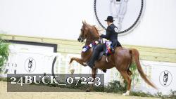 24BUCK_07223 proof