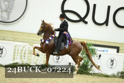 24BUCK_07224 proof