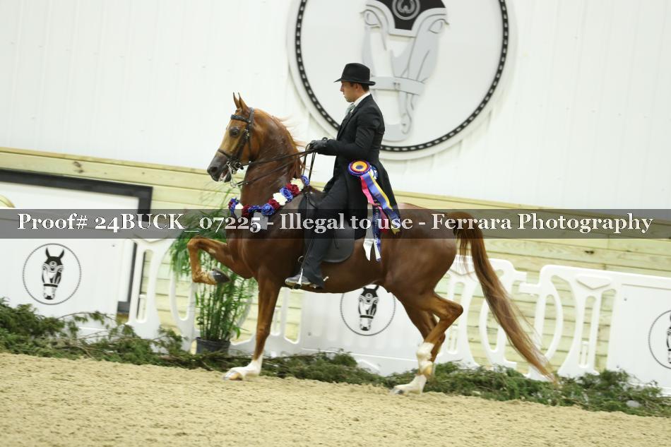 Proof 24BUCK_07225