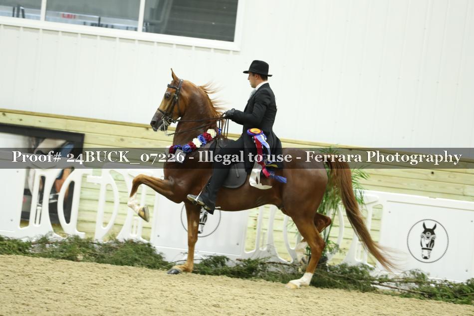 Proof 24BUCK_07226