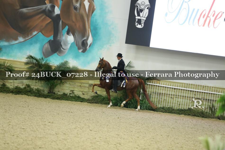 Proof 24BUCK_07228