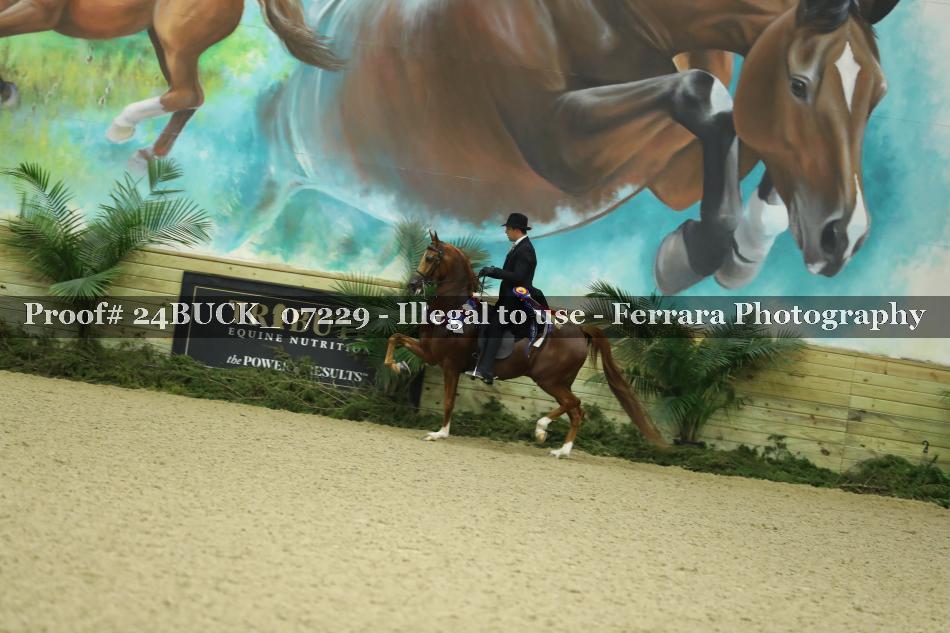 Proof 24BUCK_07229