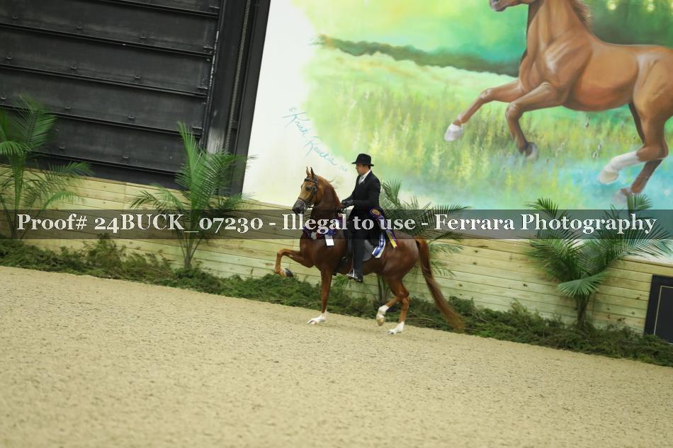 Proof 24BUCK_07230