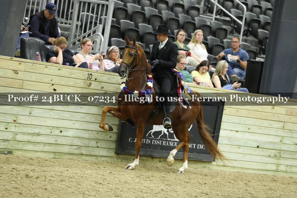 Proof 24BUCK_07234