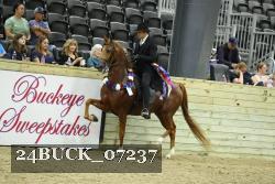 24BUCK_07237 proof