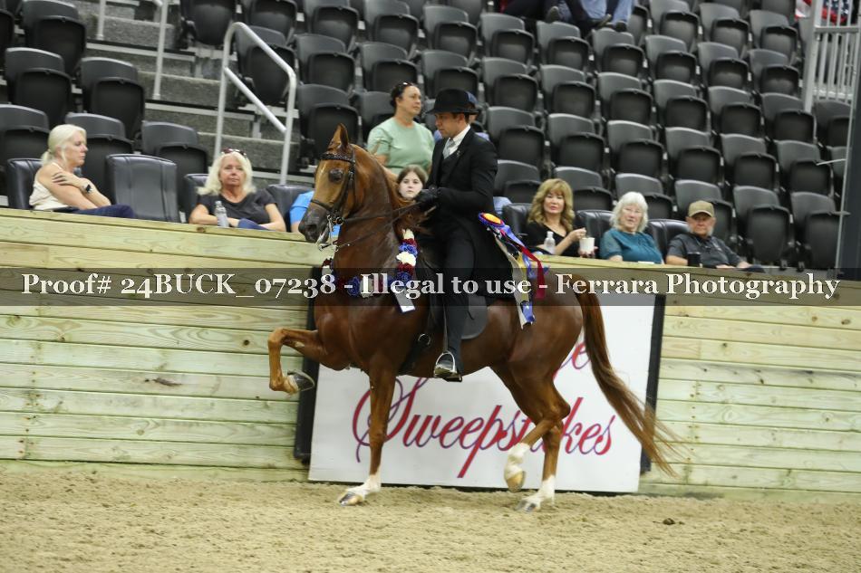 Proof 24BUCK_07238