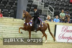 24BUCK_07239 proof