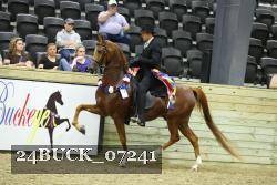 24BUCK_07241 proof
