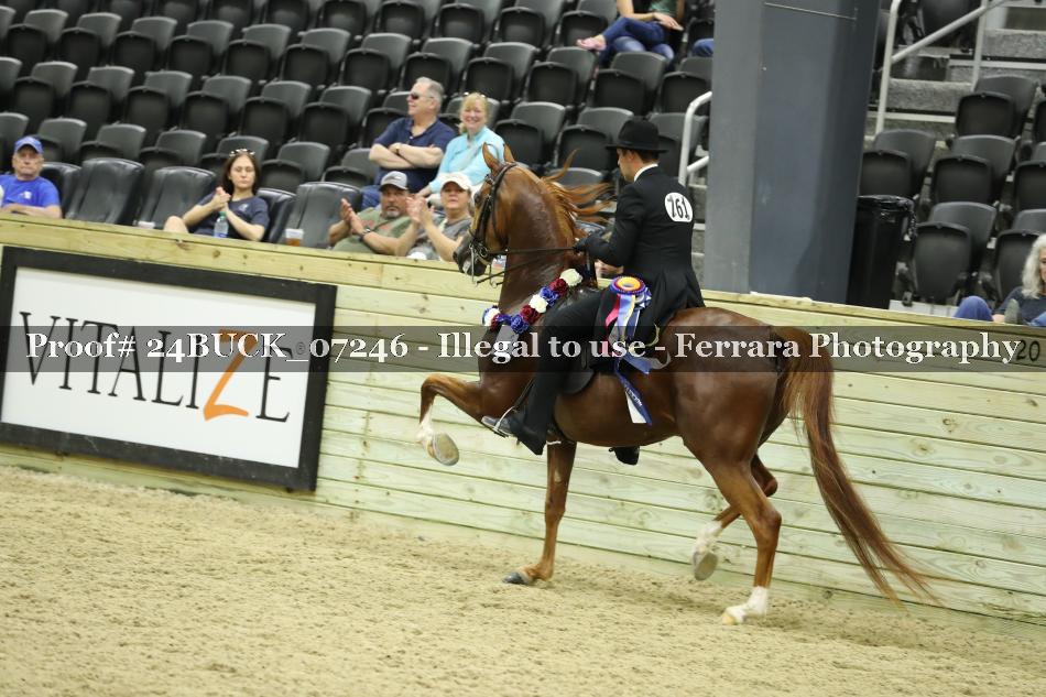 Proof 24BUCK_07246