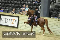 24BUCK_07246 proof