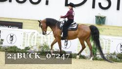 24BUCK_07247 proof