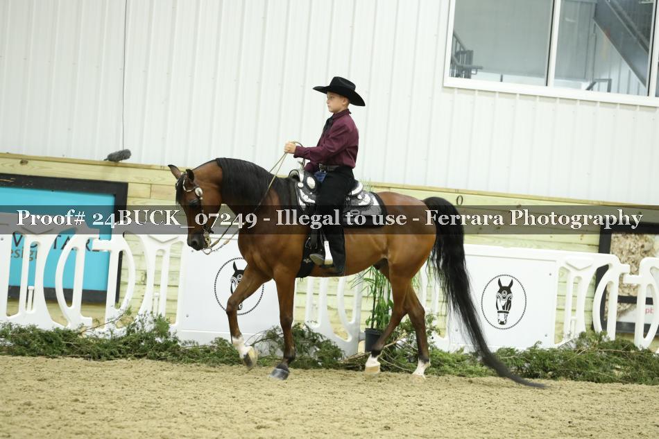 Proof 24BUCK_07249