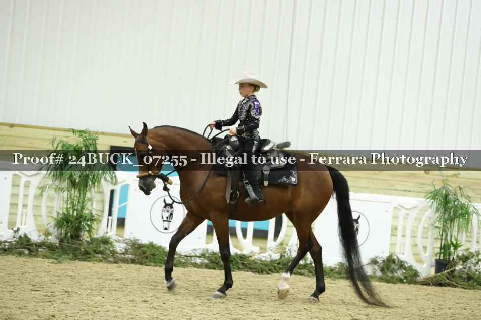 Proof 24BUCK_07255