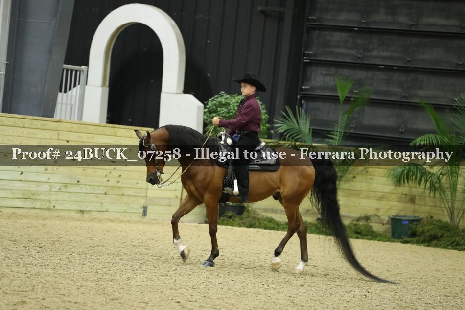 Proof 24BUCK_07258