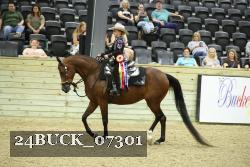 24BUCK_07301 proof