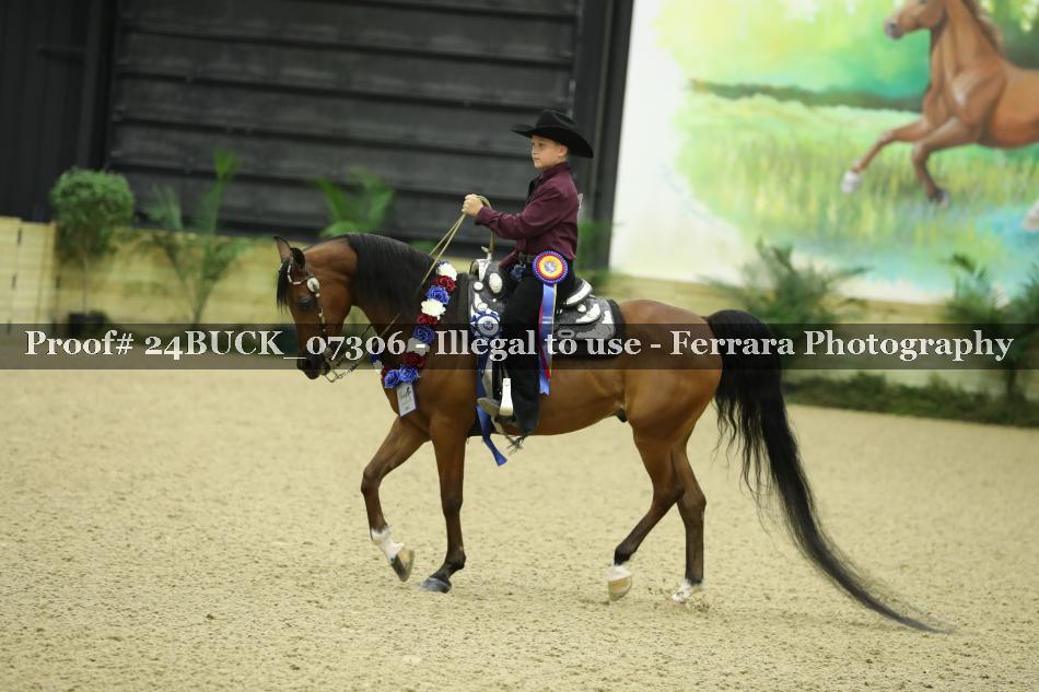 Proof 24BUCK_07306