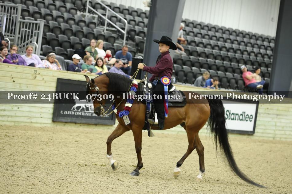 Proof 24BUCK_07309