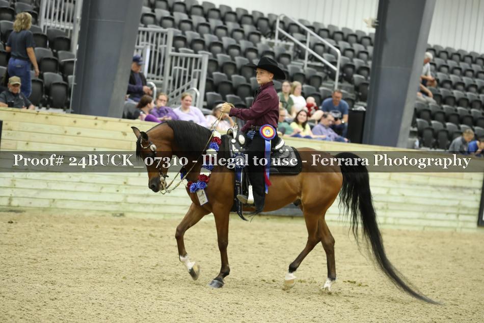 Proof 24BUCK_07310