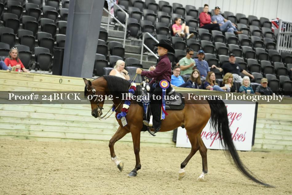 Proof 24BUCK_07312