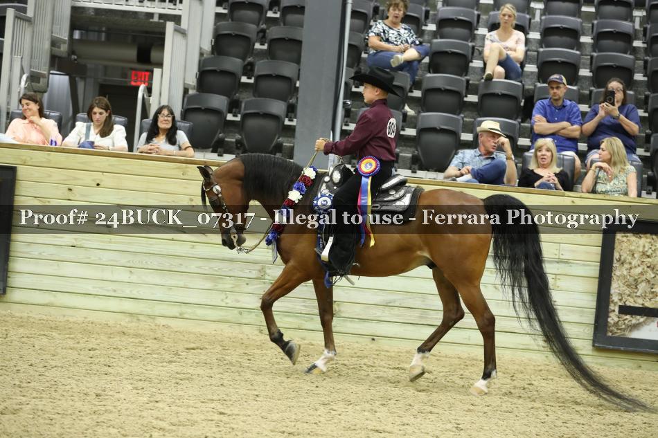 Proof 24BUCK_07317