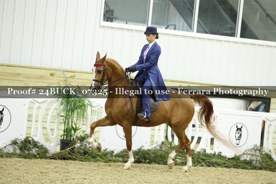 Proof 24BUCK_07325