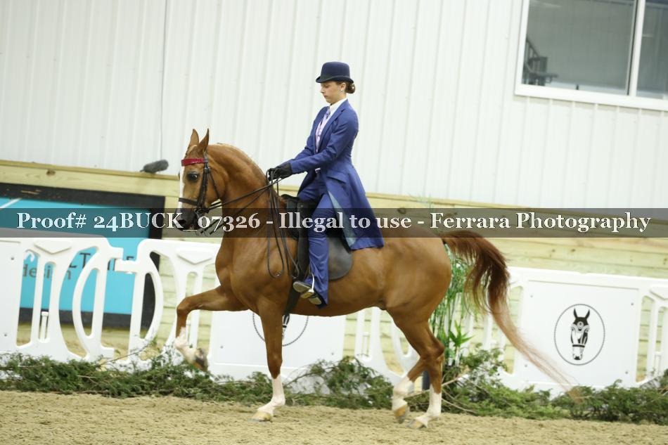 Proof 24BUCK_07326