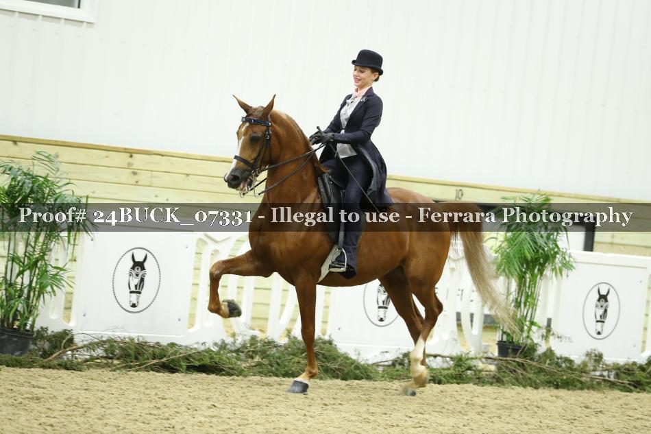 Proof 24BUCK_07331