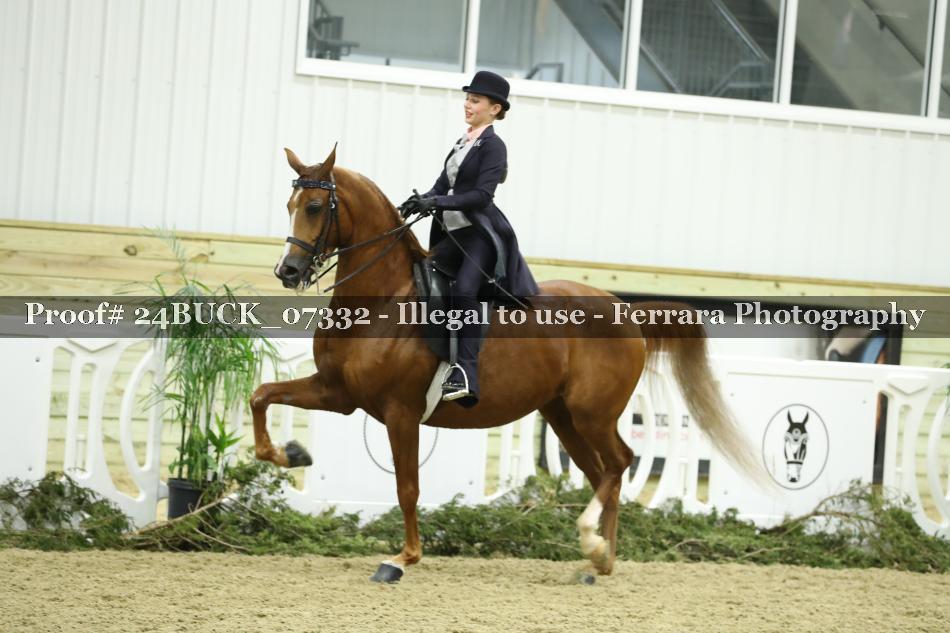 Proof 24BUCK_07332