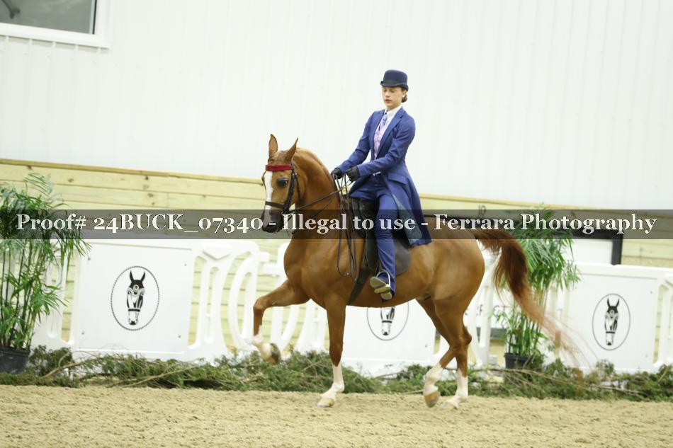 Proof 24BUCK_07340