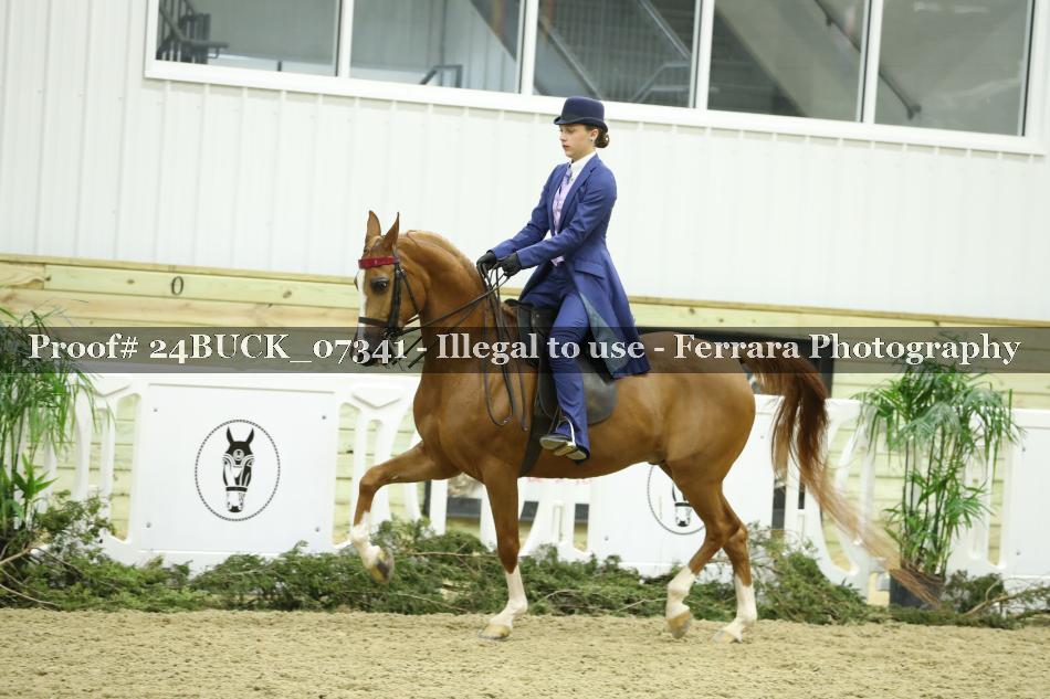 Proof 24BUCK_07341