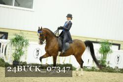 24BUCK_07347 proof