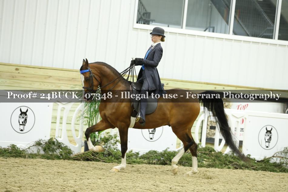 Proof 24BUCK_07348
