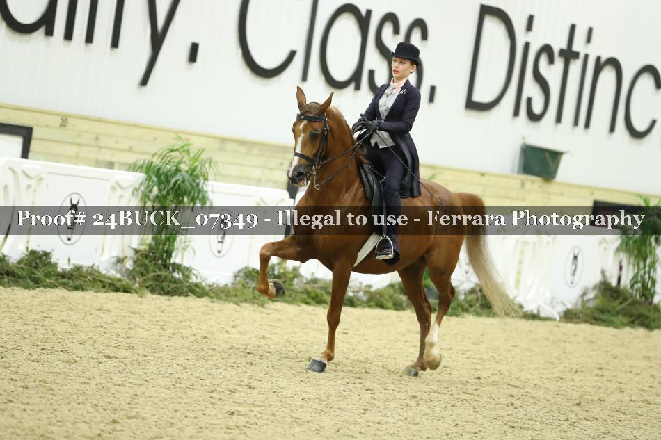 Proof 24BUCK_07349