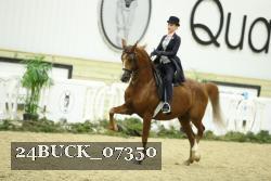 24BUCK_07350 proof