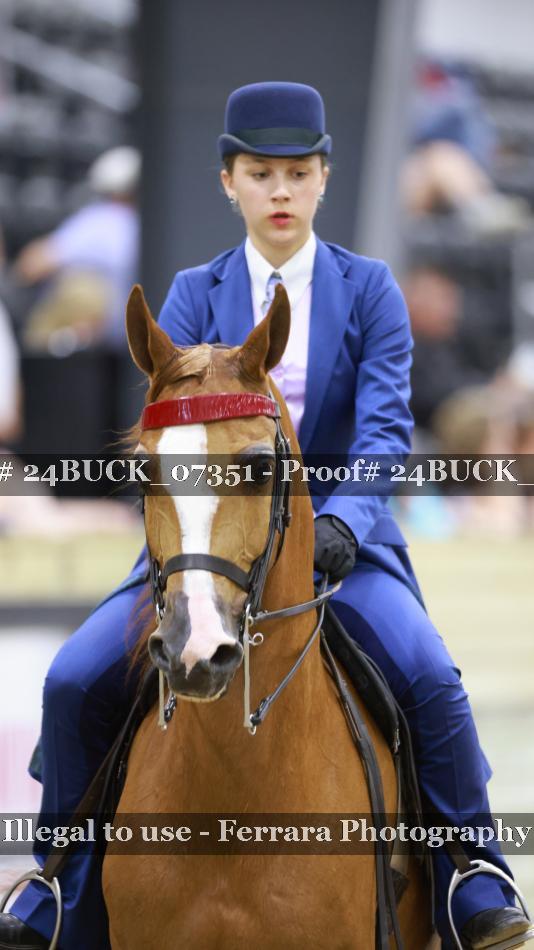 Proof 24BUCK_07351
